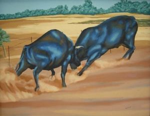 "Drakensberg Bulls"