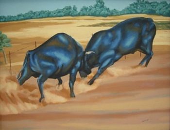 "Drakensberg Bulls"