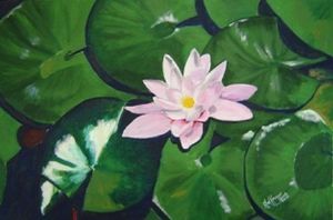 "Water Lily"