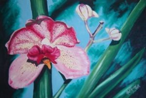 "Orchid - Vanda Msai"