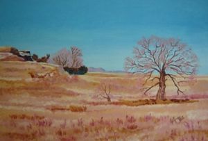 "Rosendal Landscape"