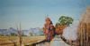 "Autumn Trees in Eastern Free State"