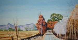"Autumn Trees in Eastern Free State"