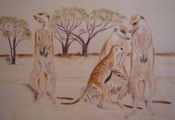 "Meercat Family"