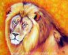 "The Lion of Judah"