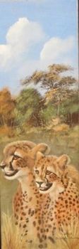 "Cheetah & cub - Kruger National Park"