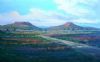 "Flowers Blooming in the Karoo"