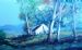 Homestead under Bluegum Trees