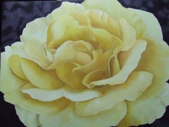 "Yellow Rose"