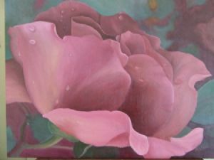 "Pink Rose"