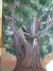 "Large Gumtree"