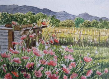 "Miniature - Cosmos in Wakkerstroom"