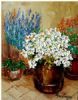 "Flowering Potplants"