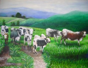 "The Hills"