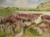 "Reed Path Swartvlei"