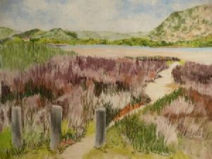 "Reed Path Swartvlei"