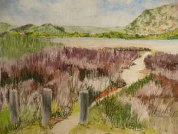 "Reed Path Swartvlei"
