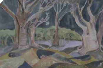 "Baobabs"