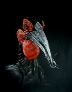 "Ground Hornbill #2"
