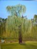 "Steyn's summer tree"