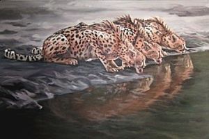 "3 Cheetah at wateringhole"