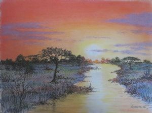 "Bush sunset"
