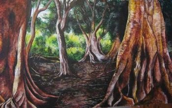 "Ndumo Fig Forest "