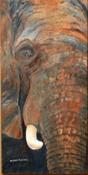 "Elephant Eye"