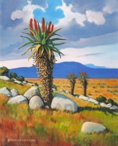 "Flowering Aloes"
