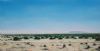 "Plains of the Camdeboo"