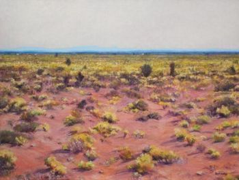 "Karoo Spring"