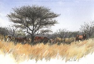 "A Spot of Shade"