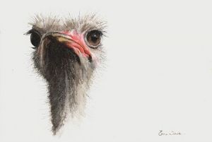 "A Bird with Attitude I"