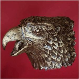 "Fish Eagle head"