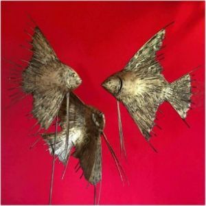 "Angle fish"