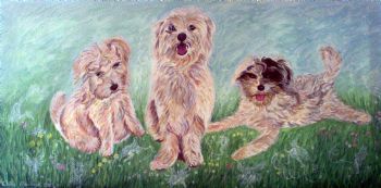 "Dogs Portrait"