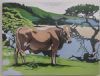 "Transkei Cow"