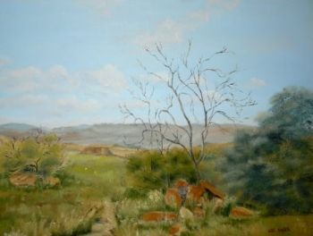 "Queenstown Landscape"
