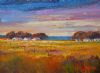 "Evening Glow"