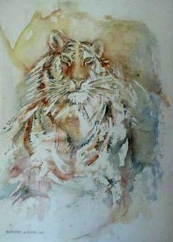 "Tiger"