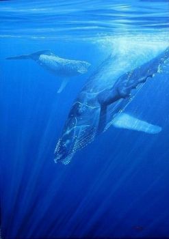 "Humpback Whale and Calf"