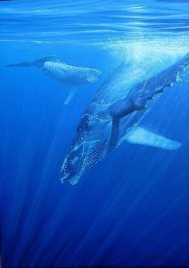 "Humpback Whale and Calf"