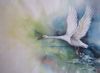 "Heavenly Flight"