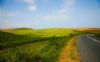 "Country Curve"