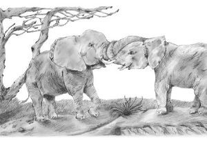 "Elephant Playtime"