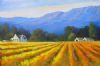 "Winelands Western Cape"