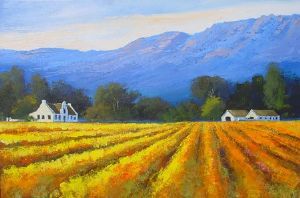"Winelands Western Cape"