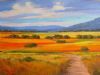"Rural Cape landscape"