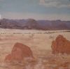 "Namib Scene"