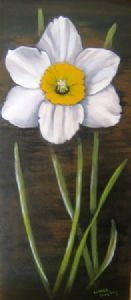 "White Daffodil"